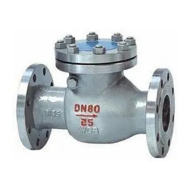 check valve