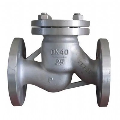 check valve