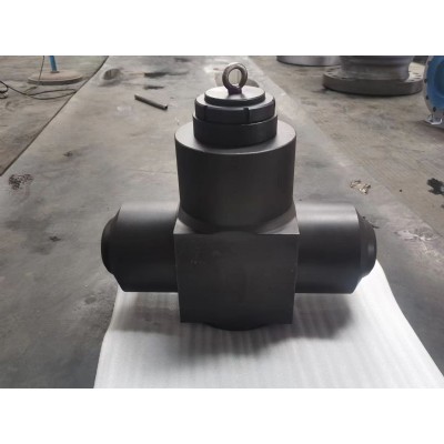 Check valve